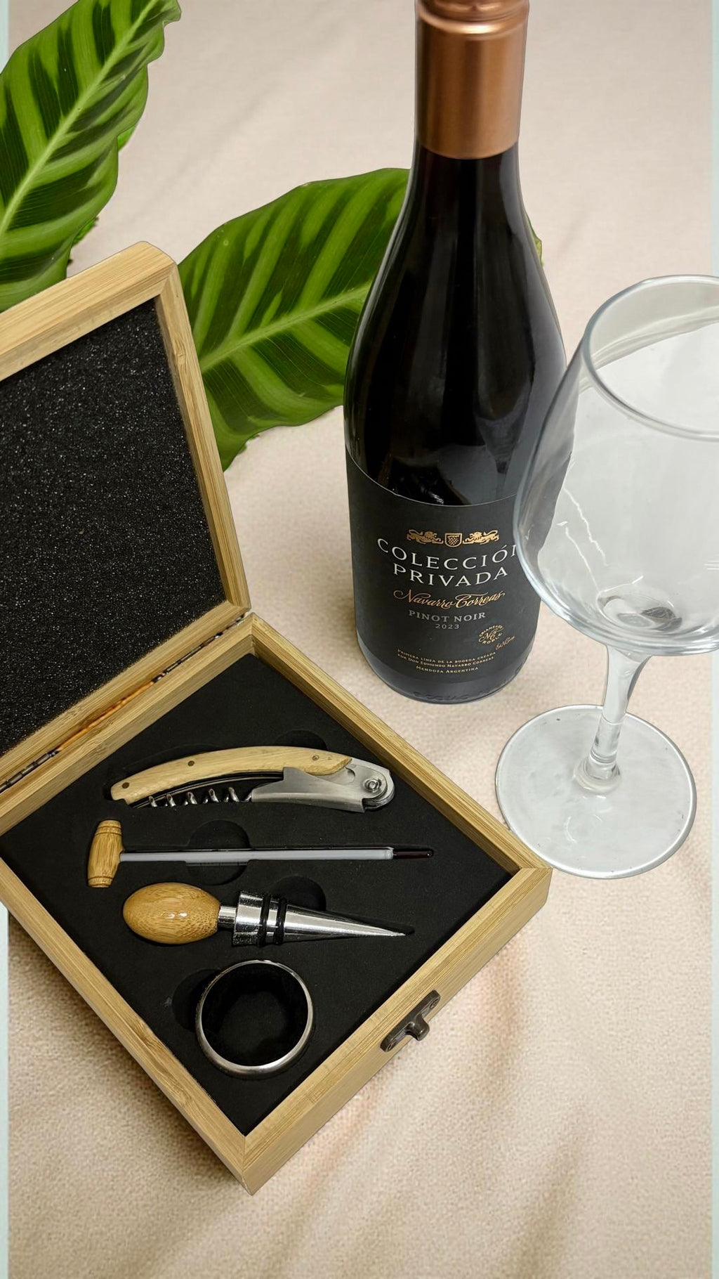 Wine Accessories