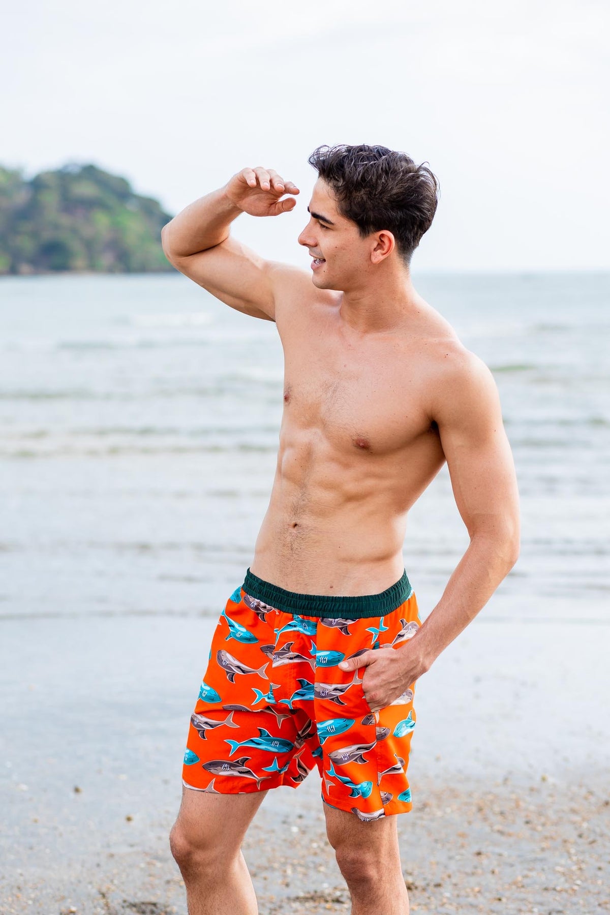 Shark Boardshort