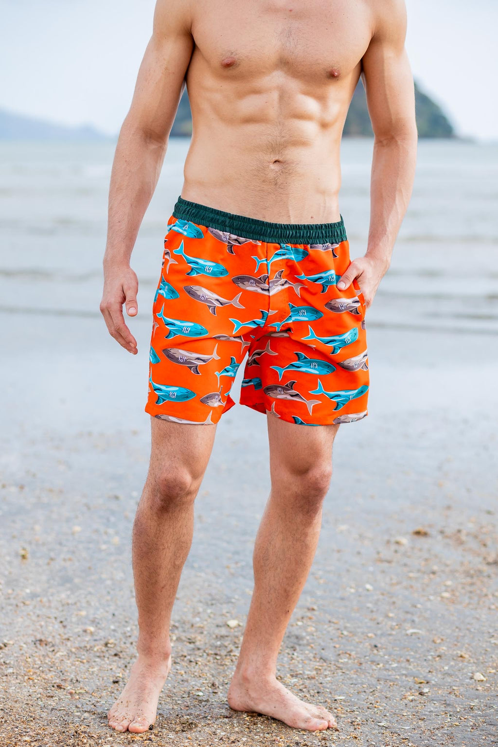 Shark Boardshort