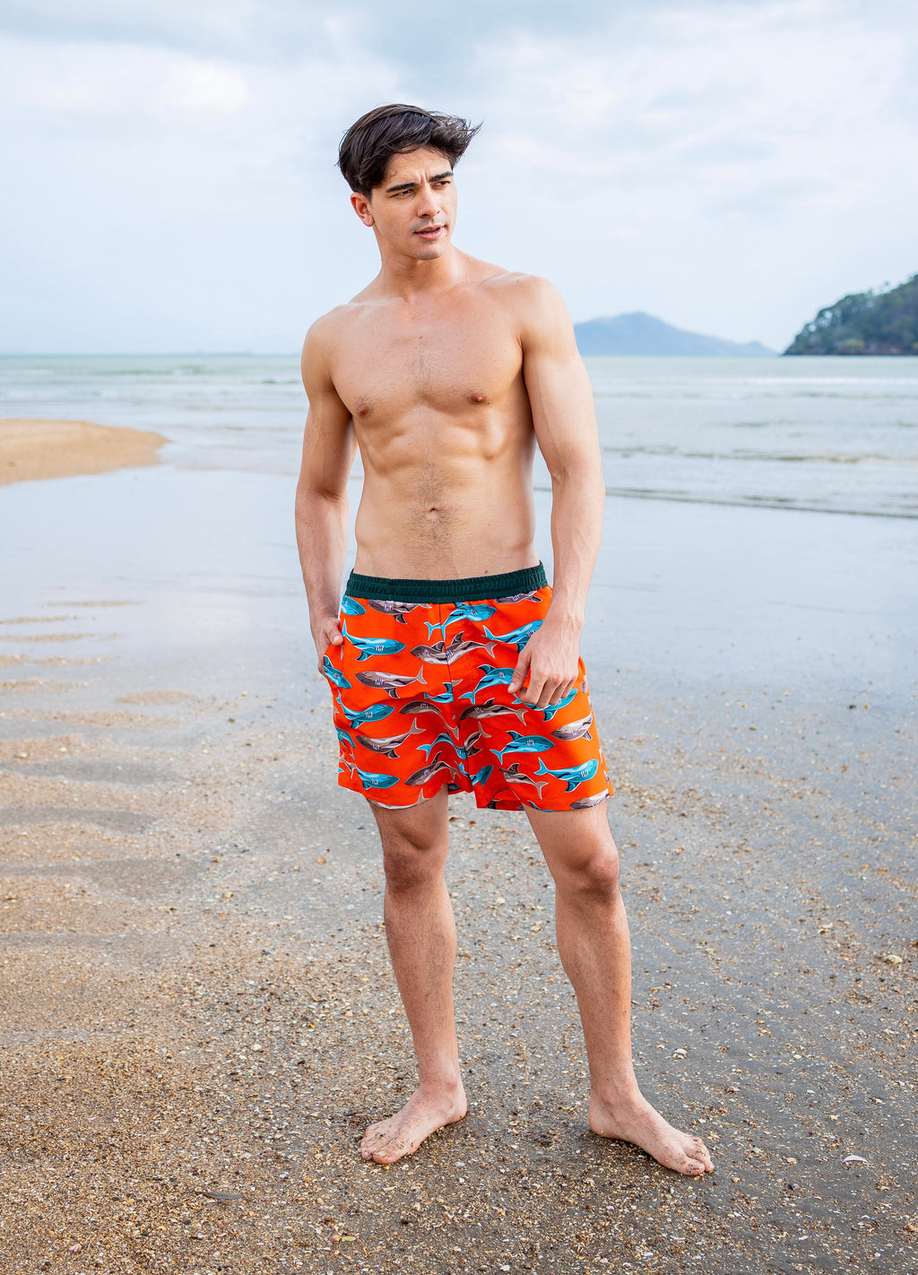 Shark Boardshort