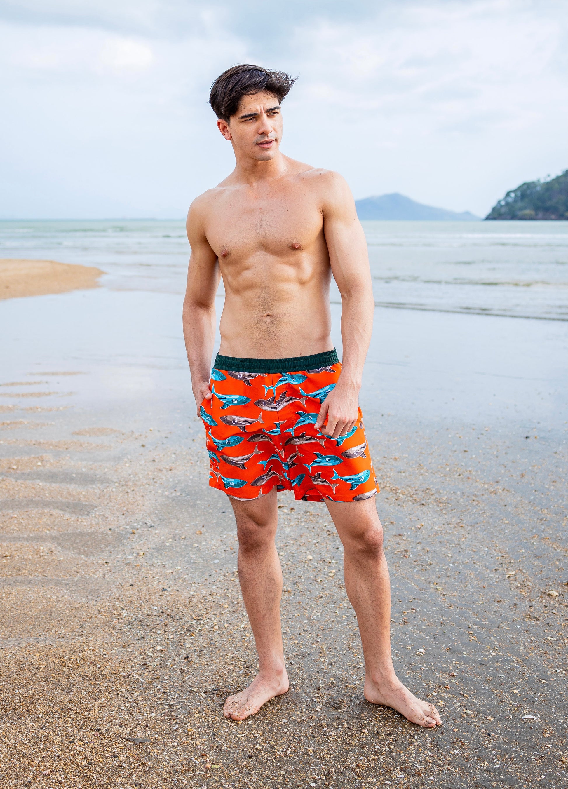 Shark Boardshort